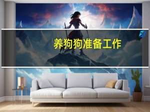养狗狗准备工作
