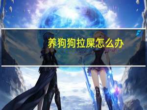 养狗狗拉屎怎么办