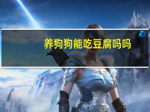 养狗狗能吃豆腐吗吗