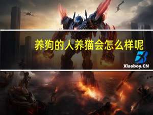 养狗的人养猫会怎么样呢