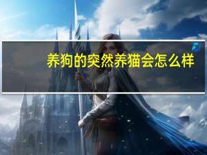 养狗的突然养猫会怎么样