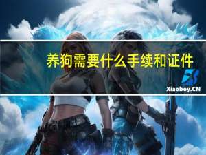 养狗需要什么手续和证件