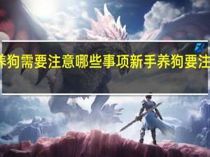 养狗需要注意哪些事项 新手养狗要注意什么