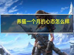 养猫一个月的心态怎么样