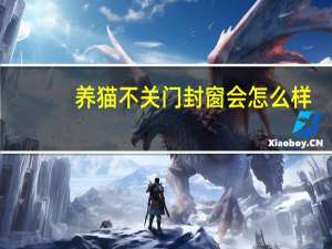 养猫不关门封窗会怎么样