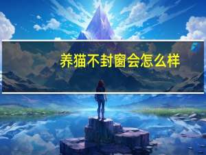 养猫不封窗会怎么样