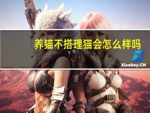 养猫不搭理猫会怎么样吗