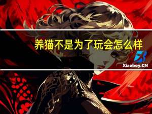 养猫不是为了玩会怎么样