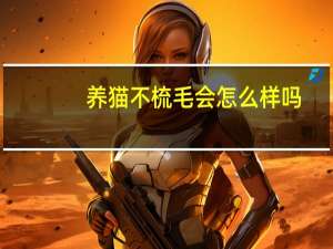 养猫不梳毛会怎么样吗