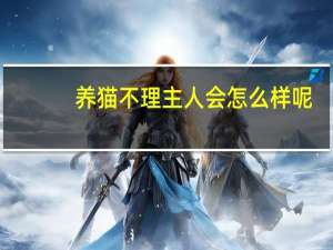 养猫不理主人会怎么样呢
