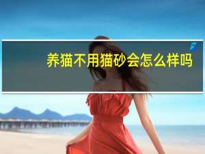 养猫不用猫砂会怎么样吗