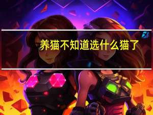 养猫不知道选什么猫了