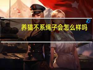 养猫不系绳子会怎么样吗