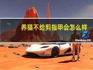 养猫不给剪指甲会怎么样