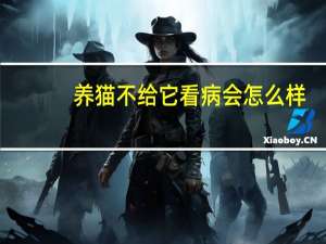 养猫不给它看病会怎么样