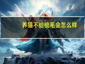养猫不给梳毛会怎么样