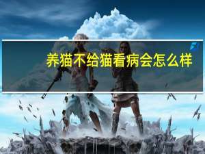 养猫不给猫看病会怎么样
