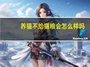 养猫不给猫粮会怎么样吗