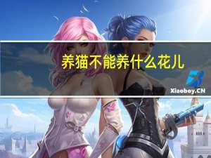 养猫不能养什么花儿