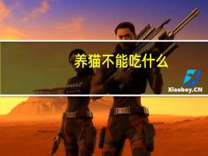 养猫不能吃什么