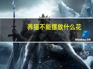 养猫不能摆放什么花
