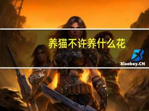 养猫不许养什么花