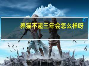 养猫不超三年会怎么样呀