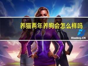 养猫两年养狗会怎么样吗