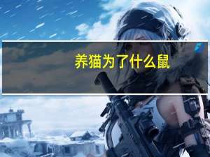 养猫为了什么鼠