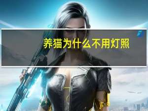 养猫为什么不用灯照