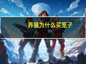 养猫为什么买笼子