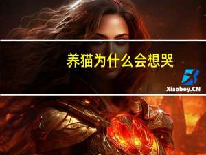 养猫为什么会想哭