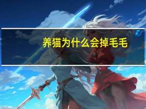 养猫为什么会掉毛毛
