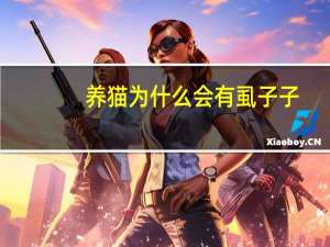 养猫为什么会有虱子子