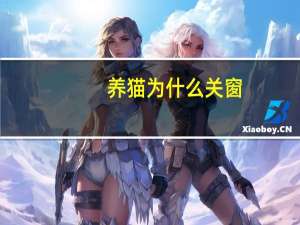 养猫为什么关窗
