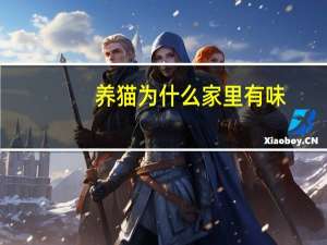 养猫为什么家里有味