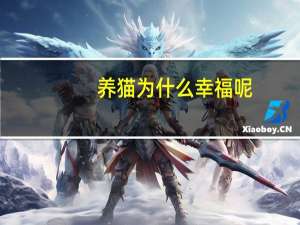 养猫为什么幸福呢