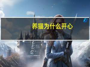 养猫为什么开心