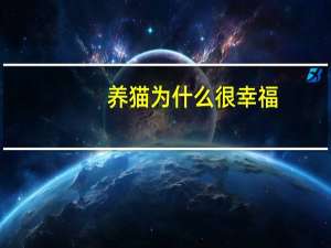 养猫为什么很幸福