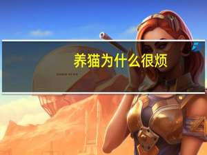 养猫为什么很烦