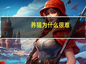 养猫为什么很难