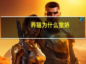 养猫为什么撒娇