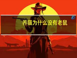 养猫为什么没有老鼠