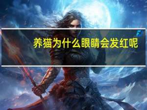养猫为什么眼睛会发红呢