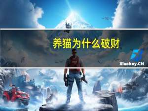 养猫为什么破财