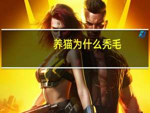 养猫为什么秃毛