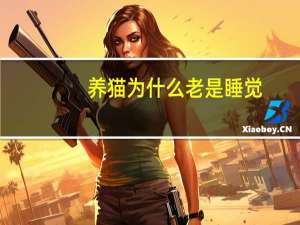 养猫为什么老是睡觉