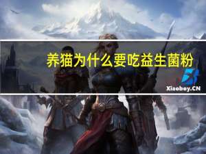 养猫为什么要吃益生菌粉