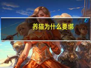 养猫为什么要绑