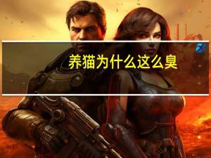 养猫为什么这么臭